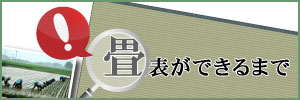 畳表ができるまでをご紹介